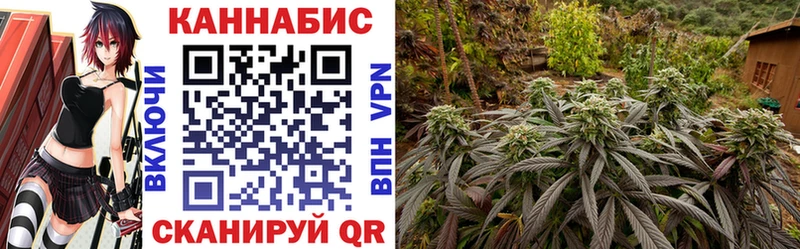 Все наркотики Новокубанск ГАШ  Кокаин  APVP  АМФ  Меф мяу мяу  Каннабис 
