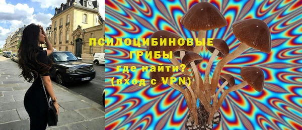 трава Алексин