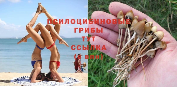 ГАЛЛЮЦИНОГЕННЫЕ ГРИБЫ Абдулино