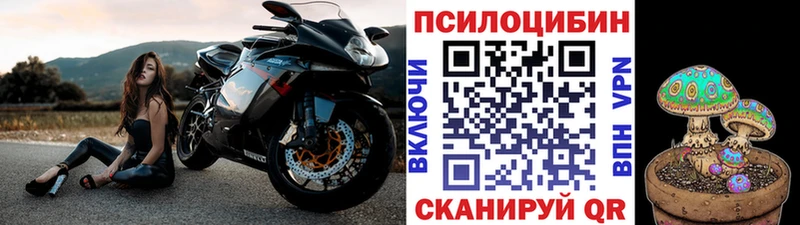 Галлюциногенные грибы GOLDEN TEACHER  Новокубанск 